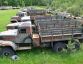 Kraz 255b  » Klikněte pro zvětšení ->